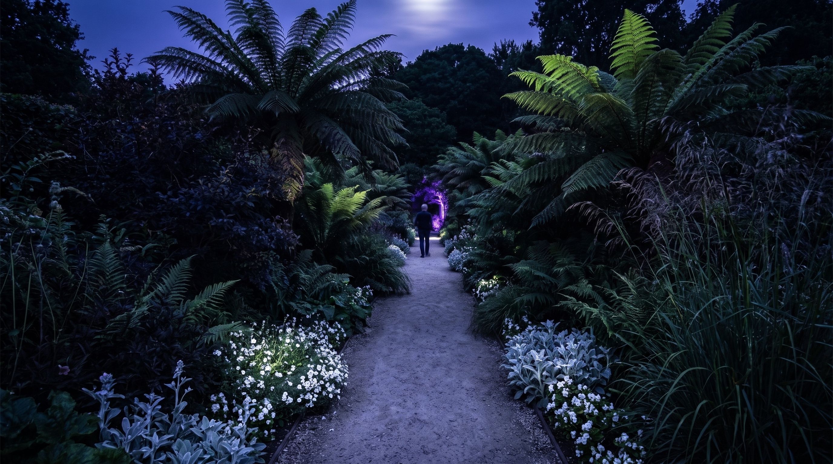 A narrow gravel path winds through tall ferns and dark shrubs at night, edged with small white flowers. One person walks ahead into the dark.